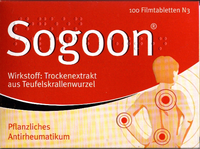 SOGOON 480 mg Filmtabletten