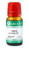 ADONIS VERNALIS LM 22 Dilution